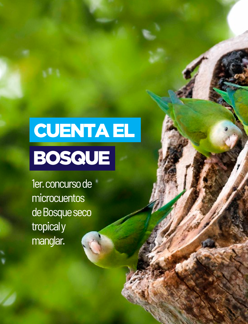 Cuenta el Bosque Alcaldía Ciudadana de Guayaquil