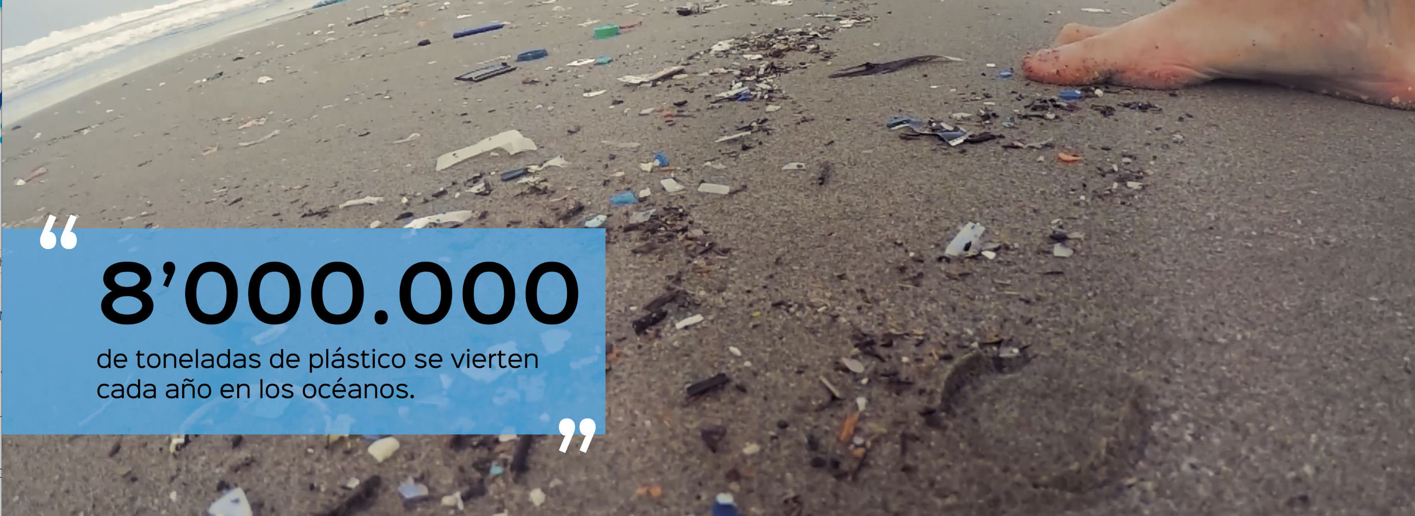 basura guayaquil responsable
