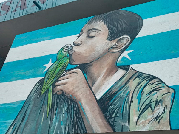 mural-guacamayo-junior