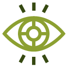 icon-vision