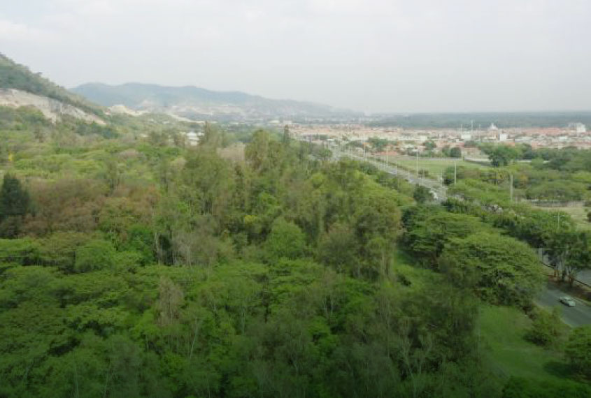 sostenible-img-cerro