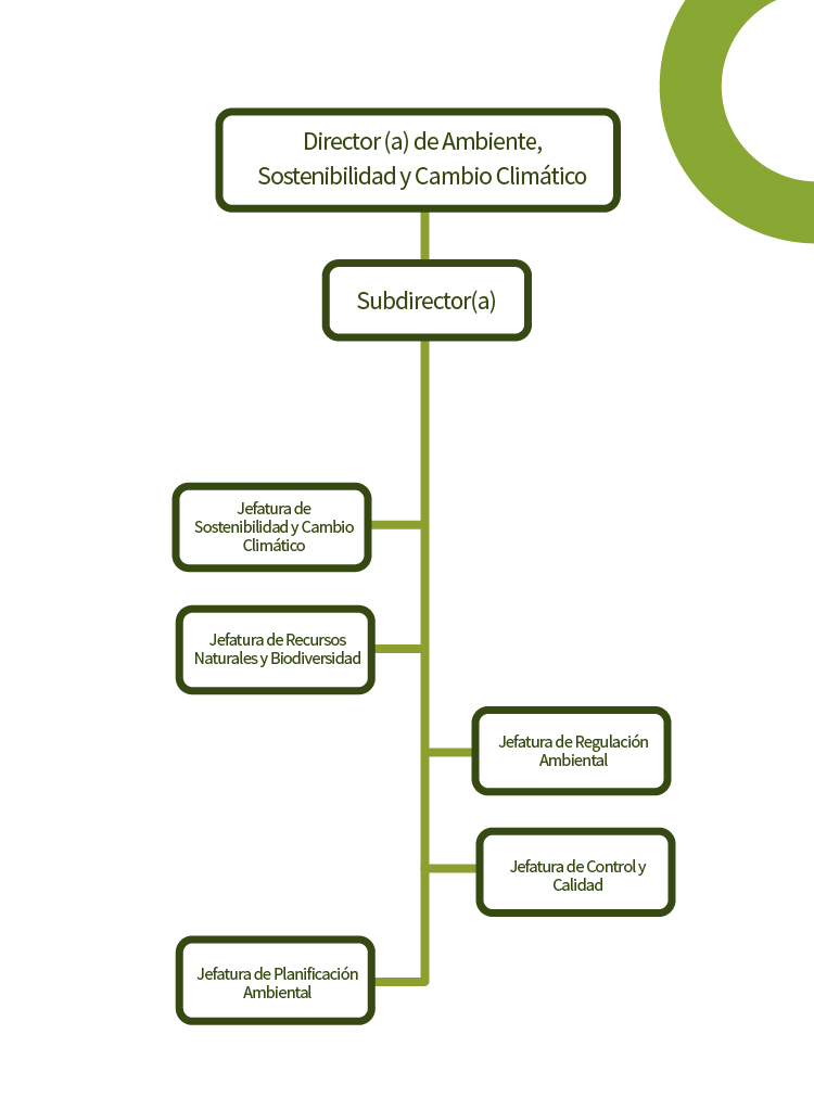 sostenible-organigrama-mobile