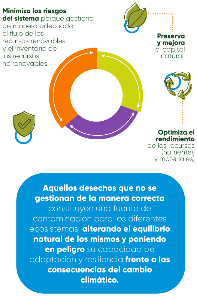 sostenible-proceso-reciclaje-mobile