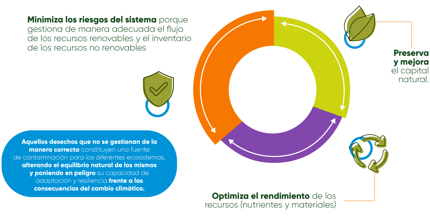sostenible-proceso-reciclaje
