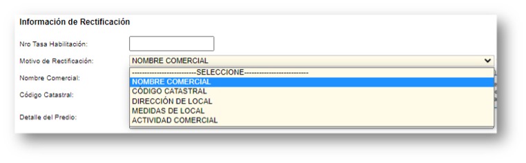 3-rectificacion-formulario-2