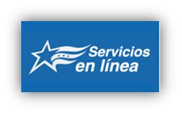rectificacion-servicios-en-linea