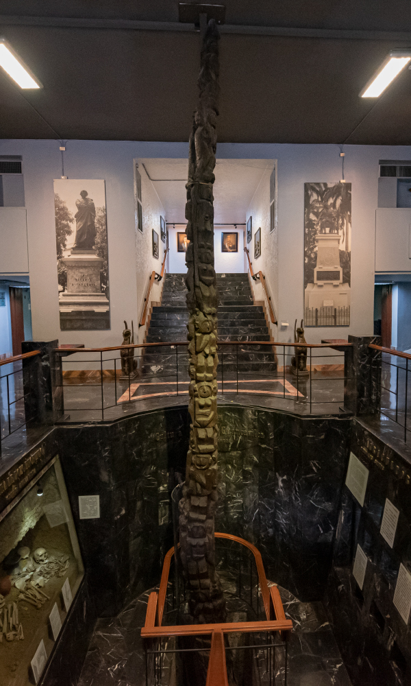 Museo Banner