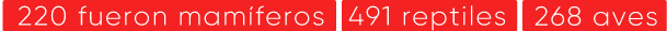 boxes-desktop