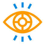 icon-vision-orange