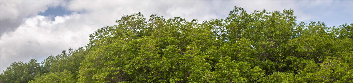 img-regularizacion-ambiental