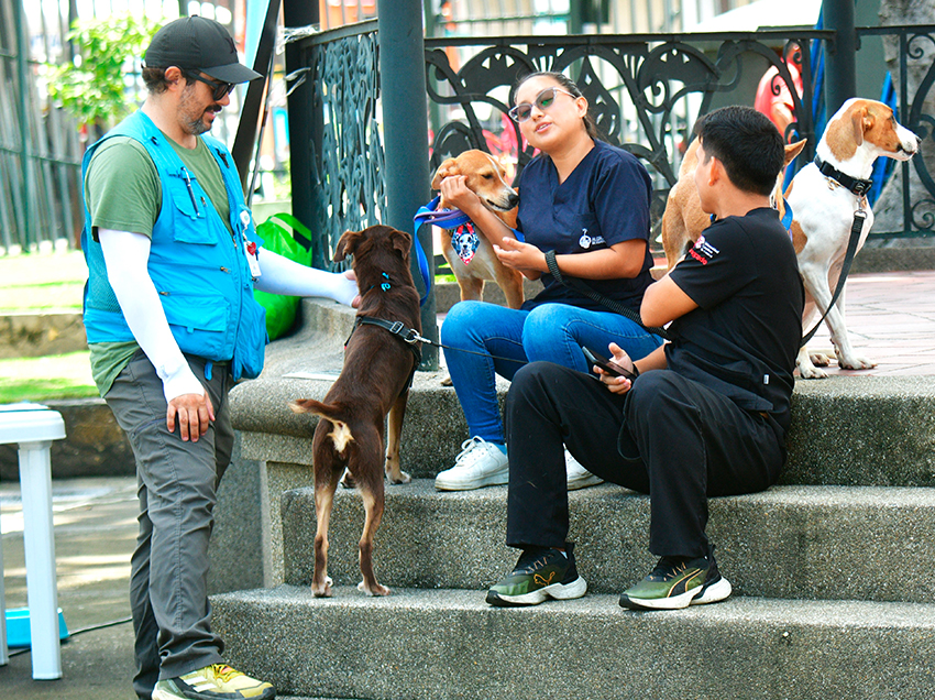 Family Day reunió a emprendedores y servicios municipales en Parque Victoria