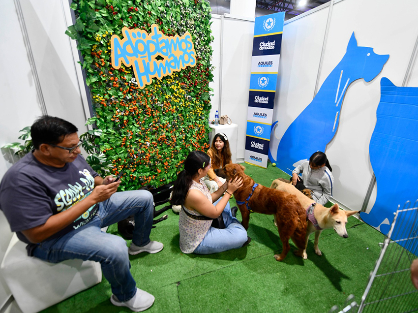 “Adoptamos Humanos”, la campaña del Municipio que atrajo miradas en la Comic Con