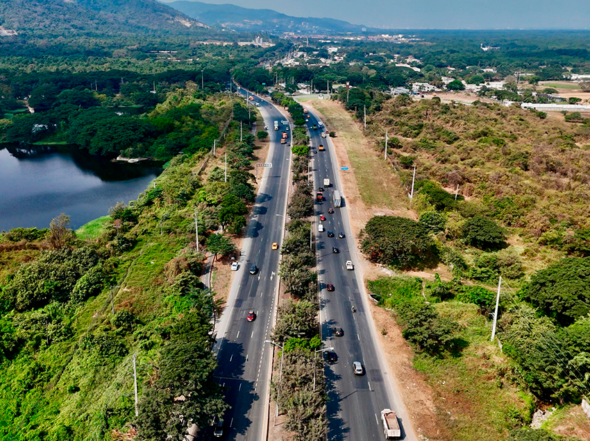 Arborización estratégica devuelve frescura y vida en diferentes puntos de la urbe